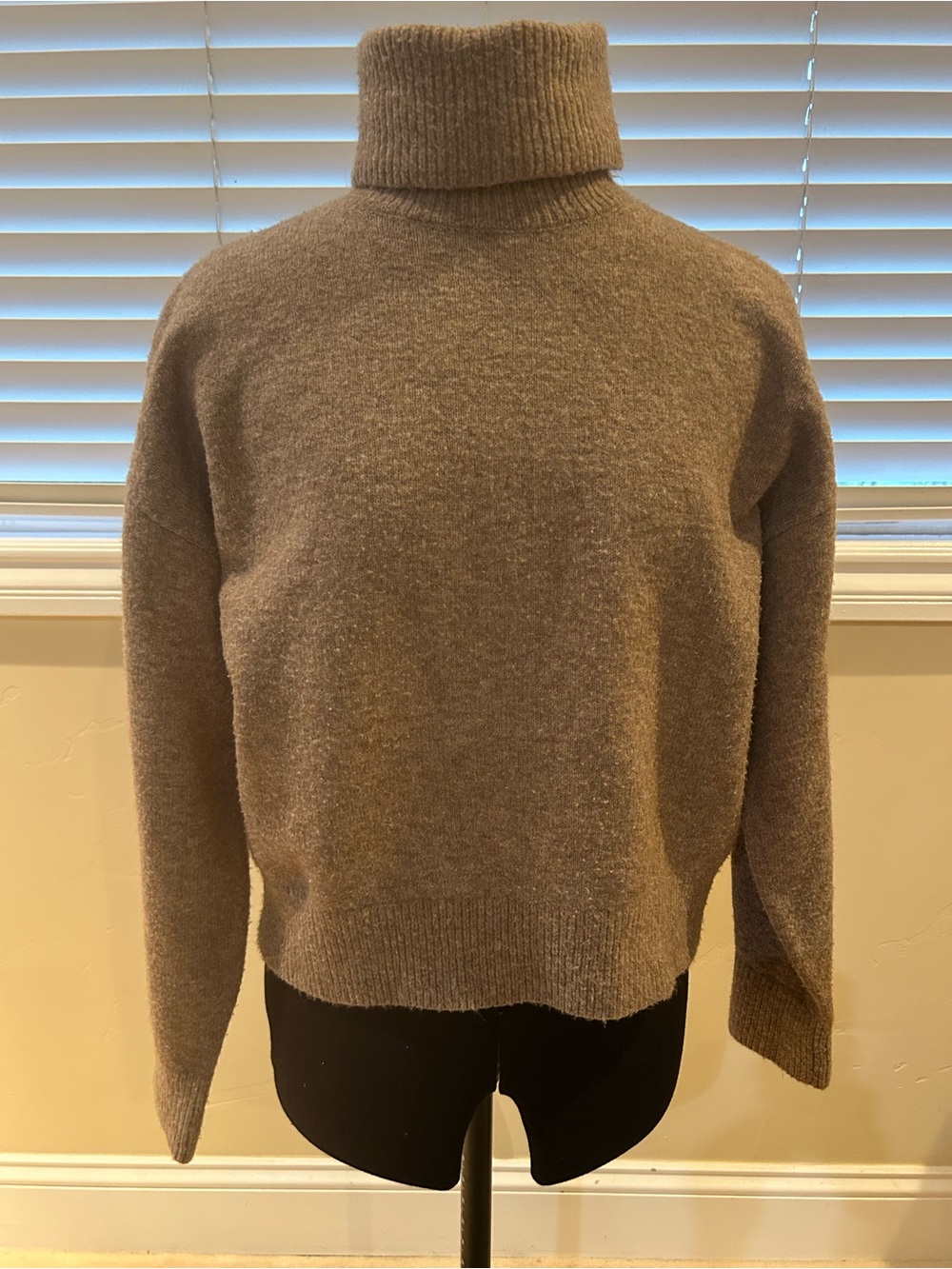 H&M Taupe Brown Turtleneck Sweater